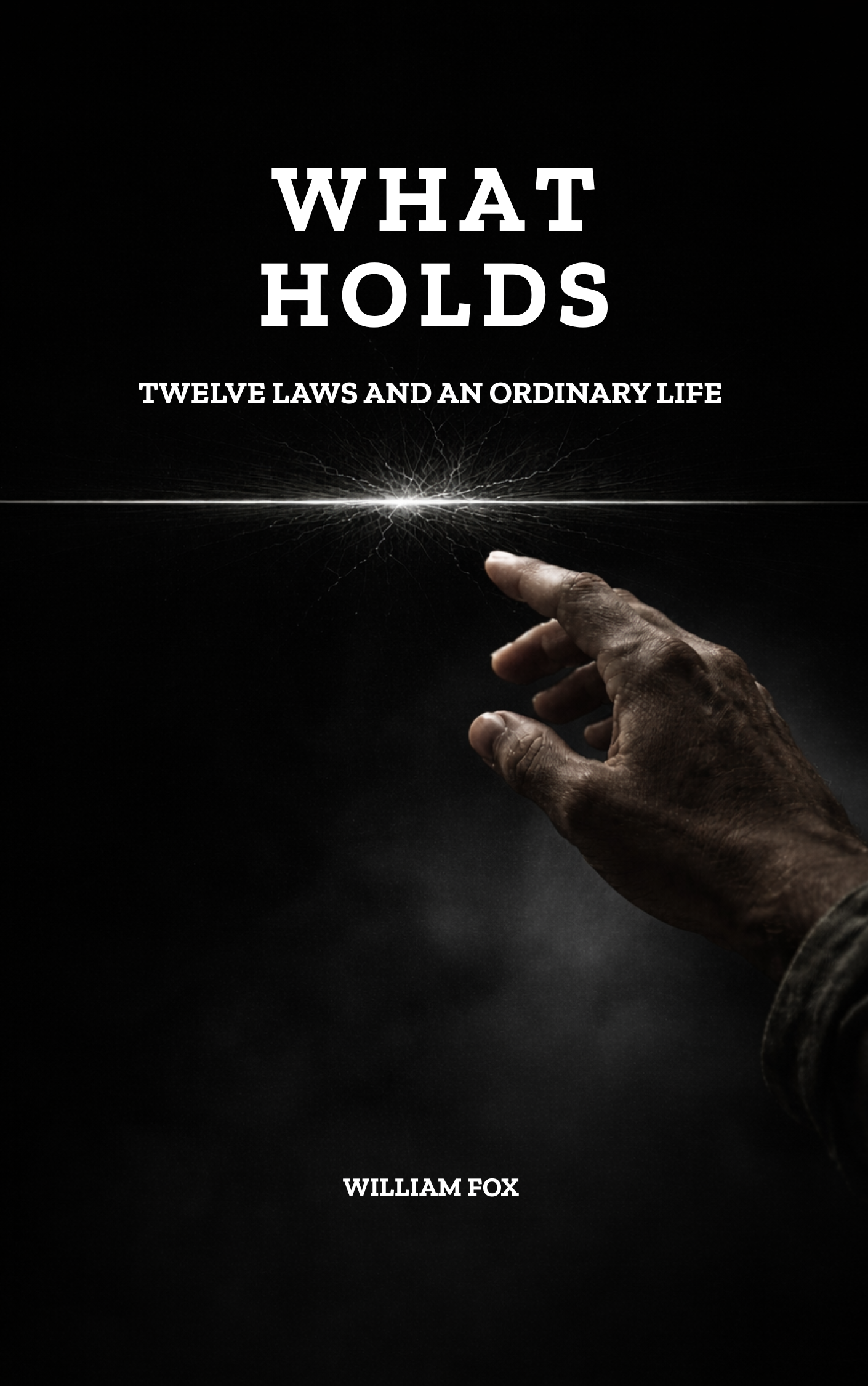 Cover of What Holds by William Fox